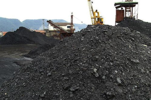 電廠為何通過煤炭中間商買煤，而不是直接對接煤礦？背后的商業邏輯解析