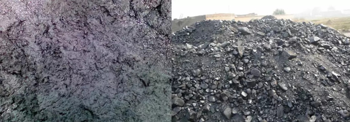 瑞新熱裂解技術 變水產品廢棄物為寶，助力環保新篇章